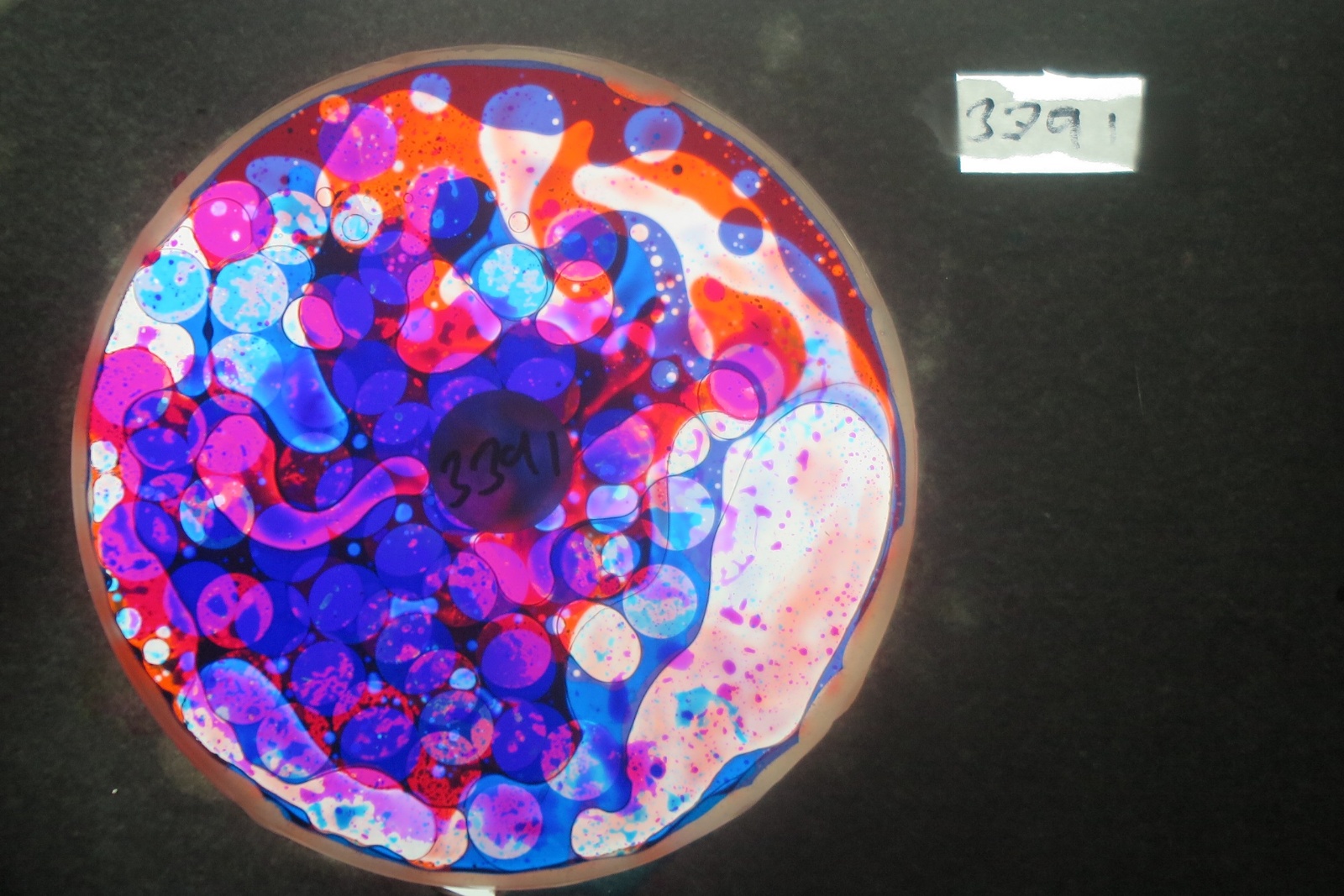 BV3391 bubble vision oil wheel